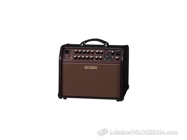 Boss Acoustic Singer Live