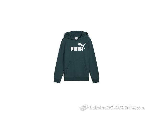 Dziecięca Bluza Puma Ess NO. 1 Logo Hoodie FL B 68490875 – Zielony
