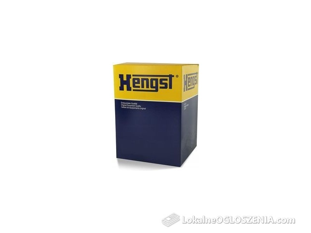 Hengst Filter Filtr Hydraulika Robocza Ey1059H D613 EY1059HD613