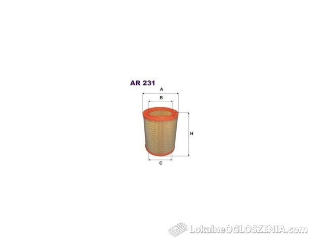 FILTRON - Filtr powietrza (AR 231)