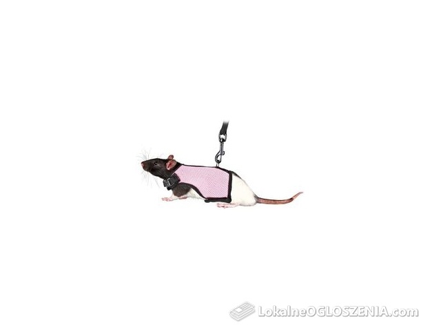 Trixie Szelki Pełne dla Szczura (61511)