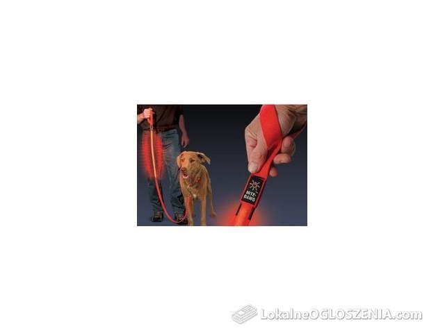Smycz Dla Psa Świecąca Z Diodą Led, Czerwona