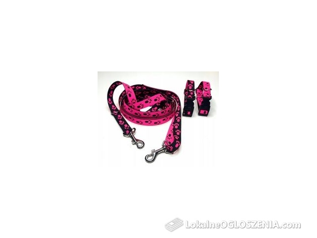 Komplet smycz przepinana 3m 2obroże rozmiar S