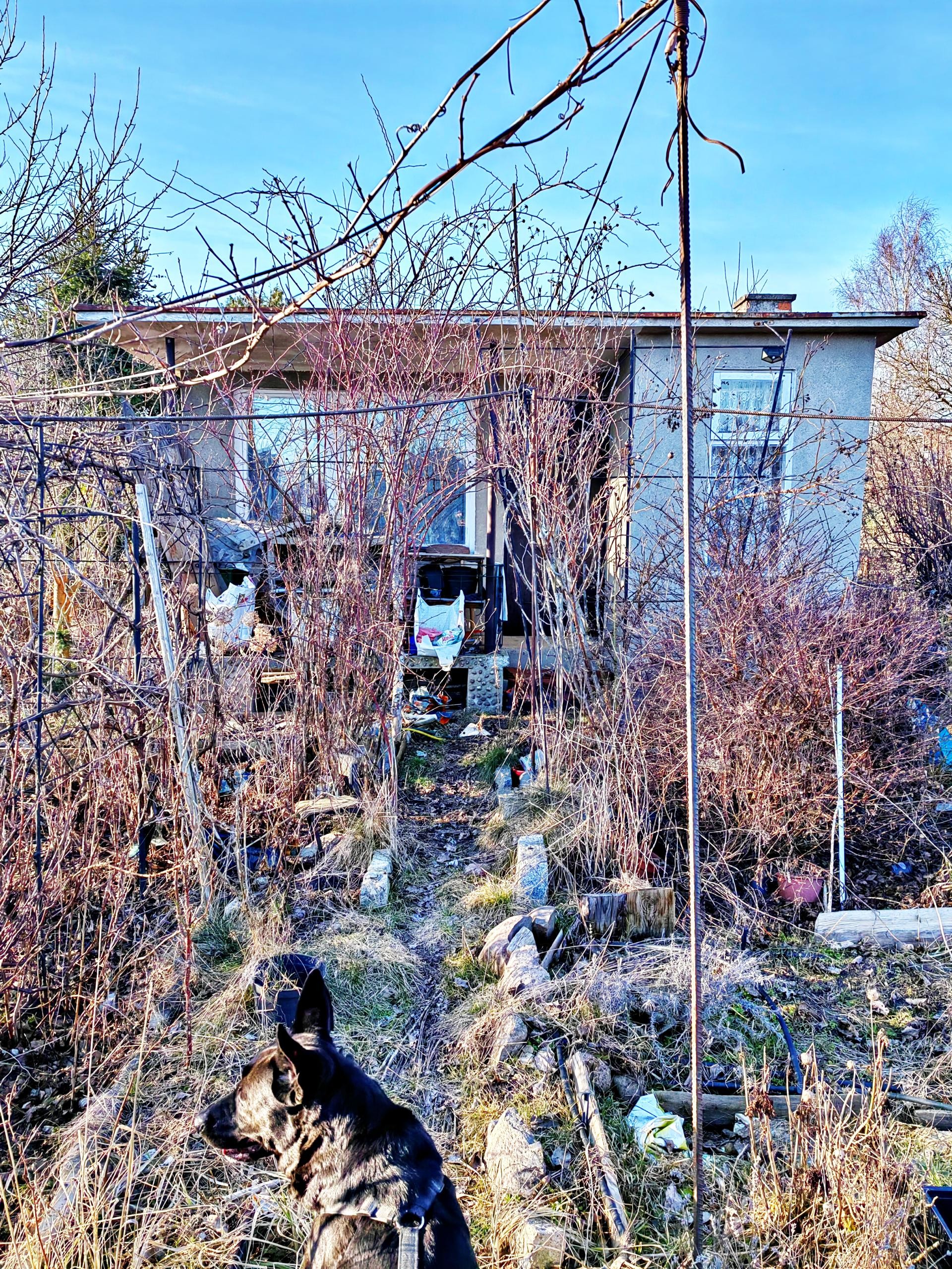 Działka z potencjałem i własnym sadem – 2,5 ara z murowaną altaną