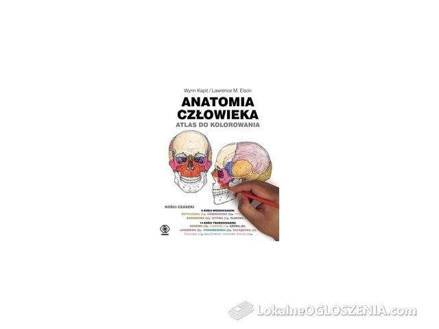 Anatomia człowieka. Atlas do kolorowania