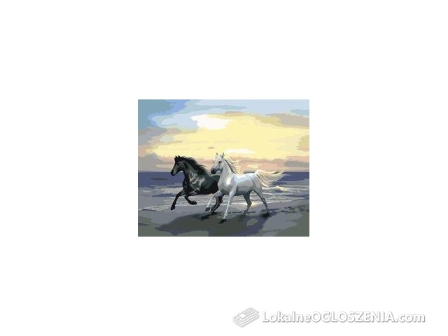 Malowanie po numerach 40x50cm Konie 1776680199