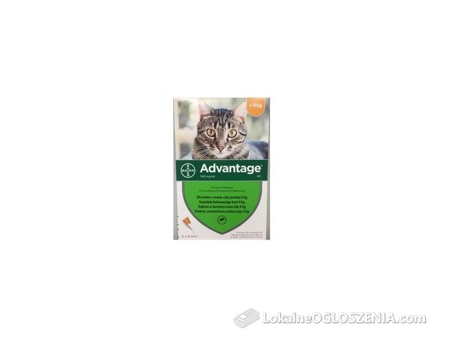 Bayer ADVANTAGE dla małych kotów 4 pipety X 0,4ML