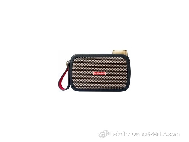 Positive Grid Spark GO