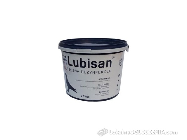 Lubisan 2,75kggołębie ptactwo drób króliki klatki