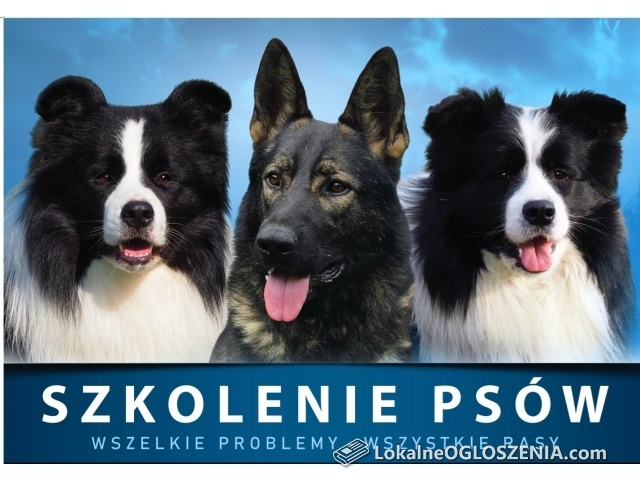 Szkolenie psów. ŁÓDZKIE. Klonowa, Lututów,  Wieluń, Wieruszów. 