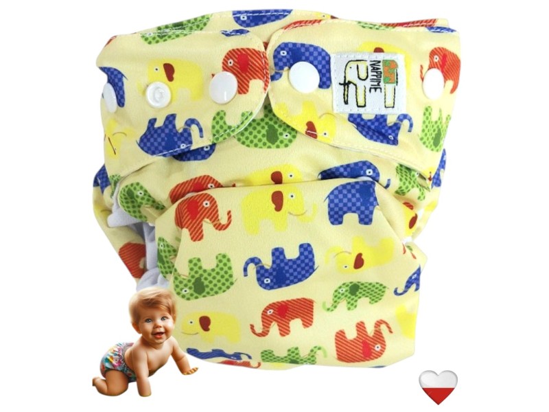 KIESZONKA COOLMAX - KOLOROWE SŁONIE