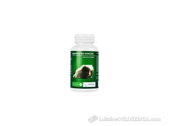 Roboran Dla Świnek Morskich Plv 60g