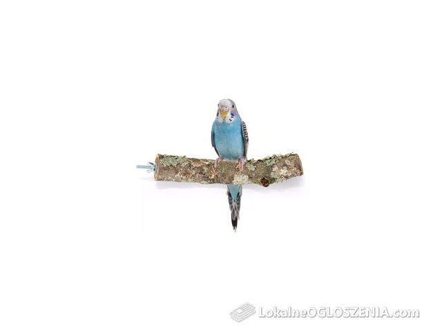 Naturalna Żerdź Z Gałęzi Dębu Korkowego Dla Małych I Średnich Papug Korek Dla Papugi